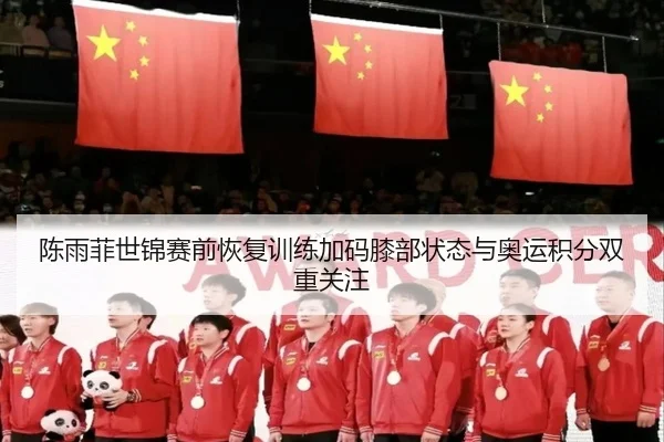 陈雨菲世锦赛前恢复训练加码膝部状态与奥运积分双重关注